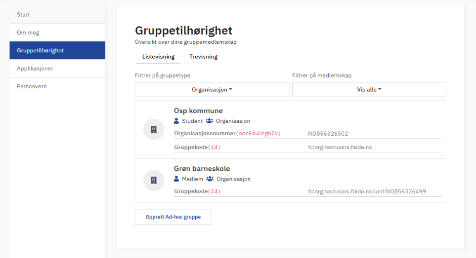 "Skjermbilde av gruppetilhørighet-fanen i Feides innsynstjeneste"